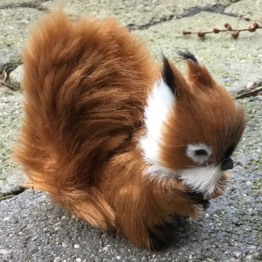 Egern i brun farve - Billede 6