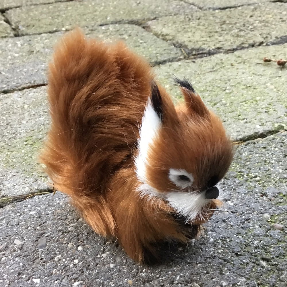 Egern i brun farve - Billede 9