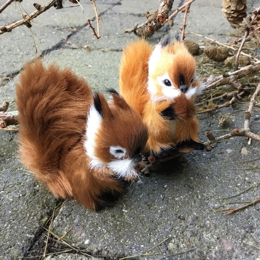 Egern i brun farve - Billede 5