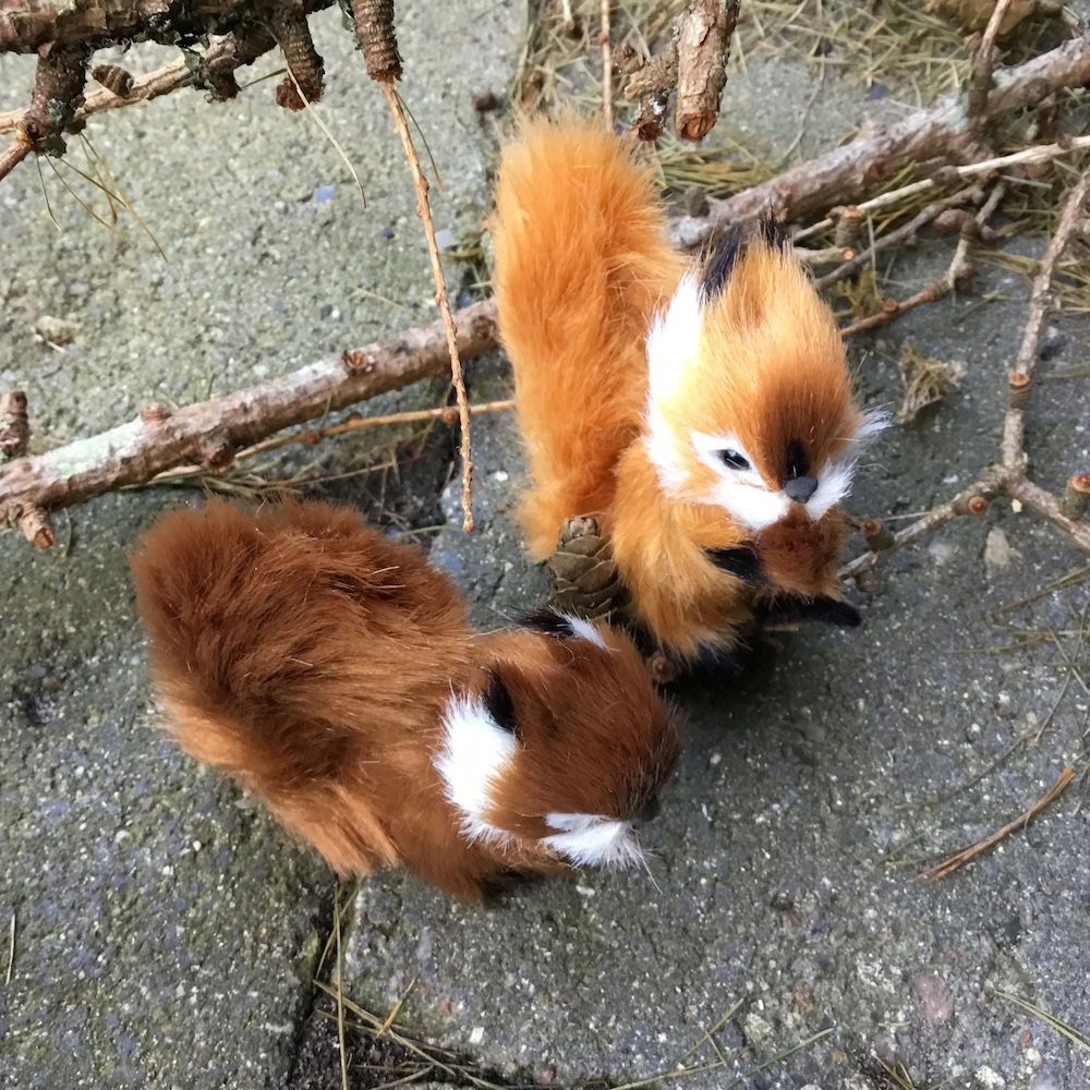 Egern i brun farve - Billede 7