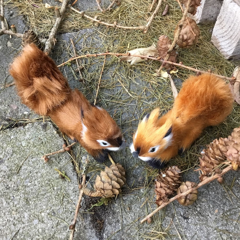 Egern i brun farve - Billede 8