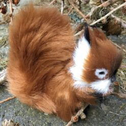 Alternative view of Egern i brun farve