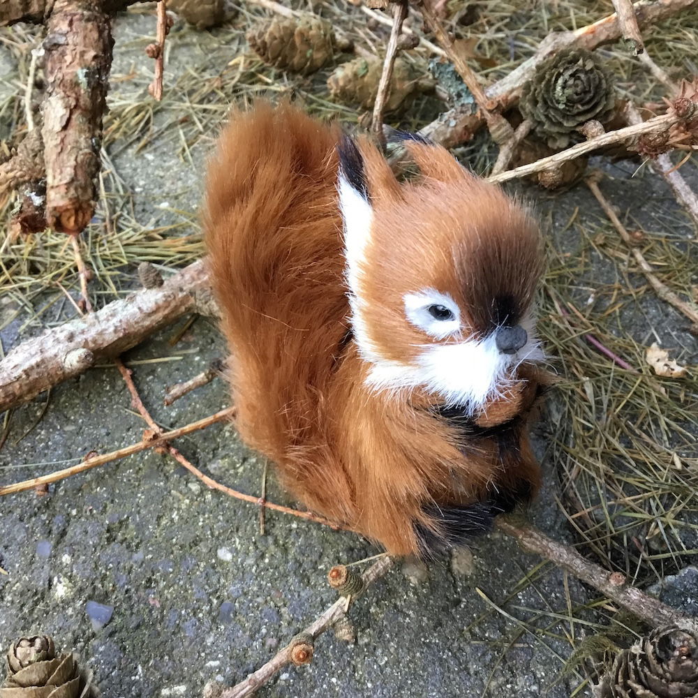 Egern i brun farve - Billede 3