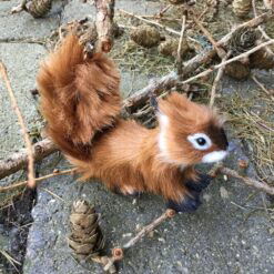 Alternative view of Egern der løber med brun pels 