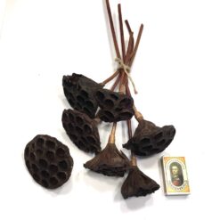 Alternative view of 7 x Lotus hoveder til den kreative