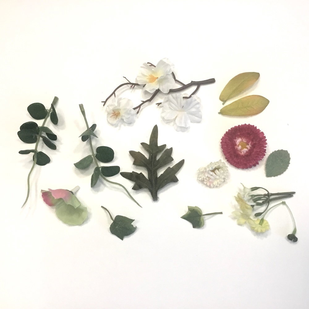 Blandet blade og blomster