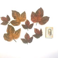 Alternative view of Dekorative gyldne efterårs blade