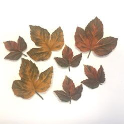 Dekorative gyldne efterårs blade