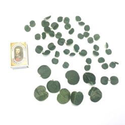 Alternative view of Små grønne runde blade