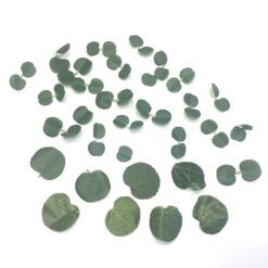 Små grønne runde blade 