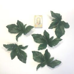 Alternative view of Store blade i grønne