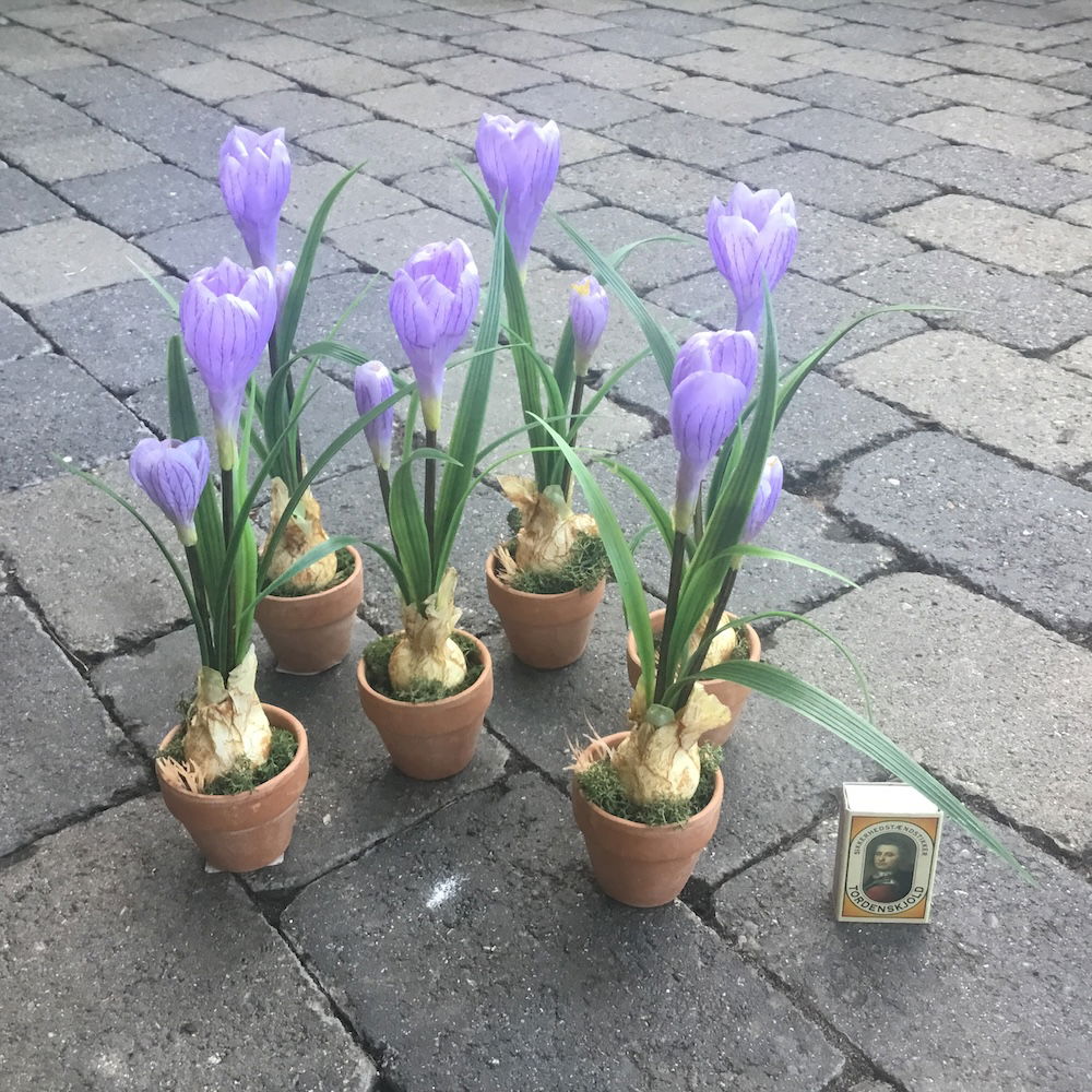 Lilla krokus i lerpotte - Billede 5