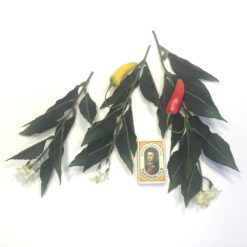 Alternative view of Rest grene med blade