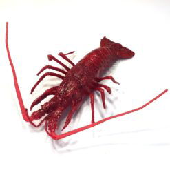 Dekorativ naturtro rød hummer