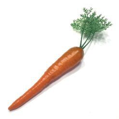 Naturtro gulerod med grøn top