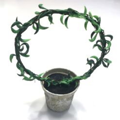 Dekorativ mini senecio bue