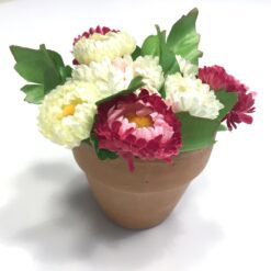 Mini blomster i lerpotte