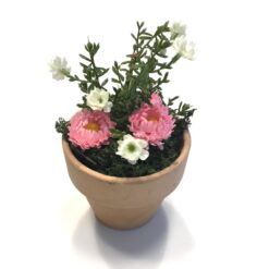 Mini blomst i lerpotte