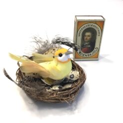 Alternative view of Fugl i rede med ægte æg