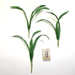 Alternative view of Tynde lange grønne blade