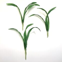 Tynde lange grønne blade