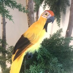 Alternative view of Papegøje i gul farve