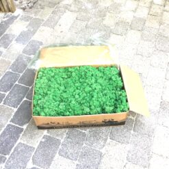 Alternative view of Mos præserveret 5kg – Græsgrøn