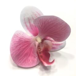 Lille rosa orkidé hoved