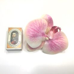 Alternative view of Rosa kunstige orkidé hoved