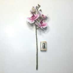 Alternative view of Lys orkide med pink knopper