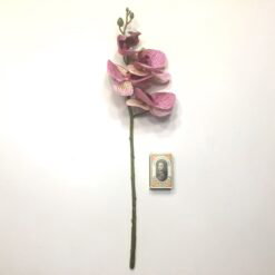 Alternative view of Orkide i pink farver