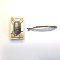 Alternative view of Kunstig lille ansjos fisk