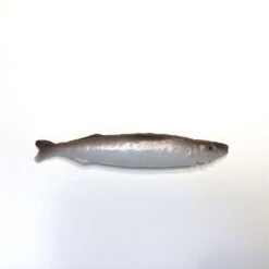 Kunstig lille ansjos fisk