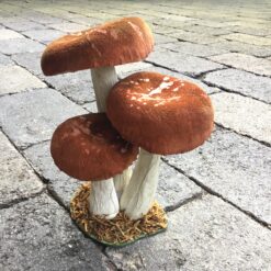 Høje gyldne paddehatte 3 samlet