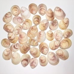 Store muslinger 1 kg