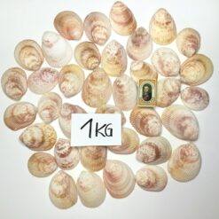 Alternative view of Store muslinger 1 kg