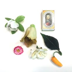 Alternative view of Blomster hoveder med mere