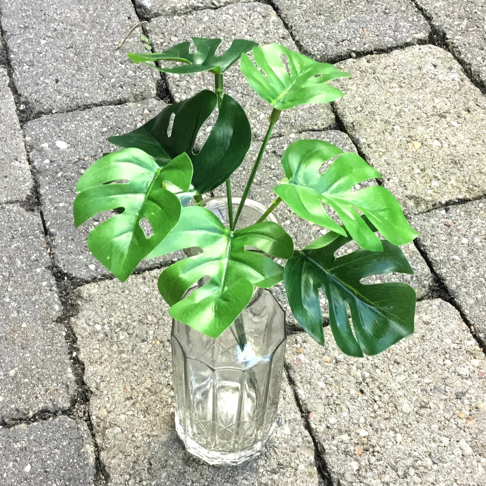 Mini monsterblade på stilk - Billede 5