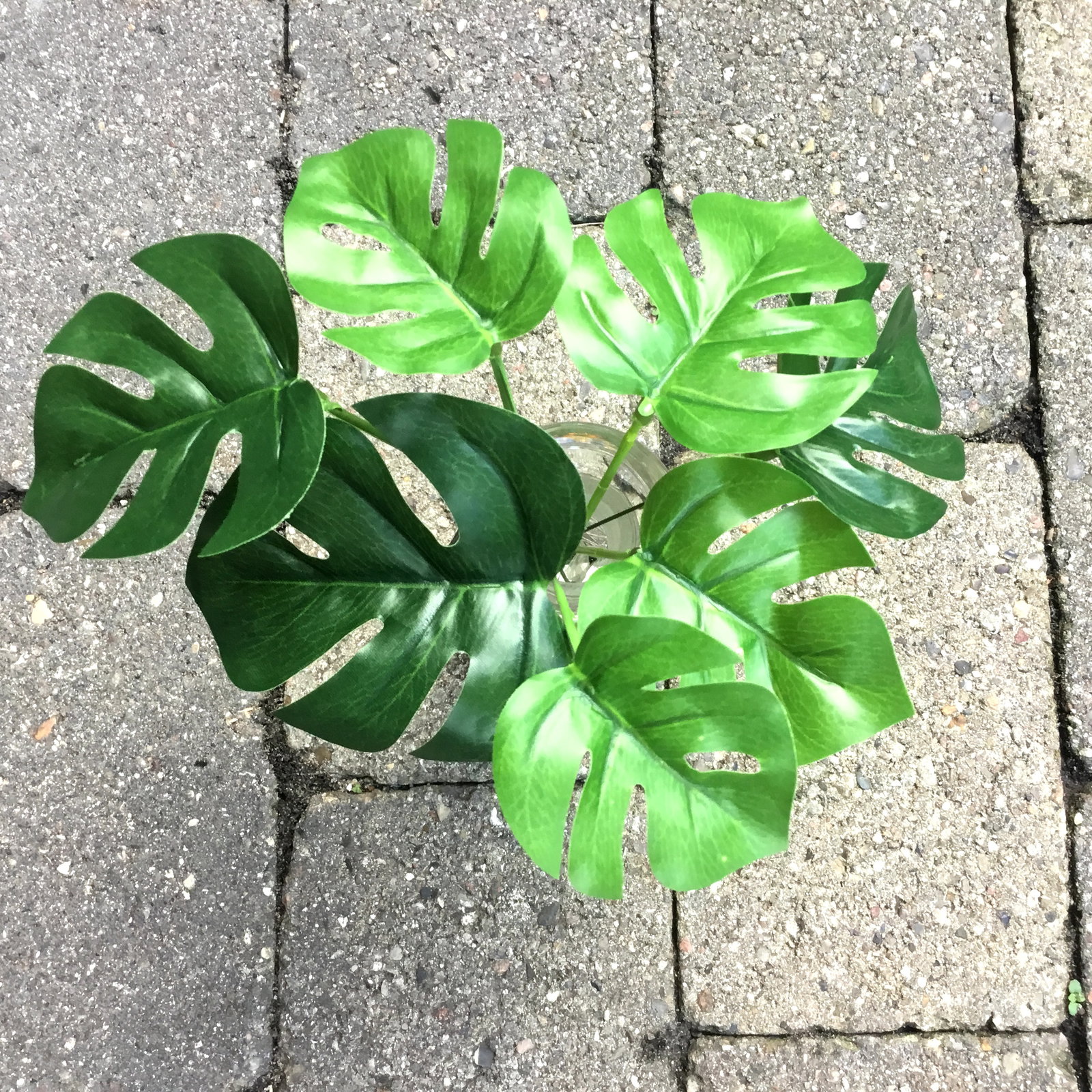 Mini monsterblade på stilk - Billede 7