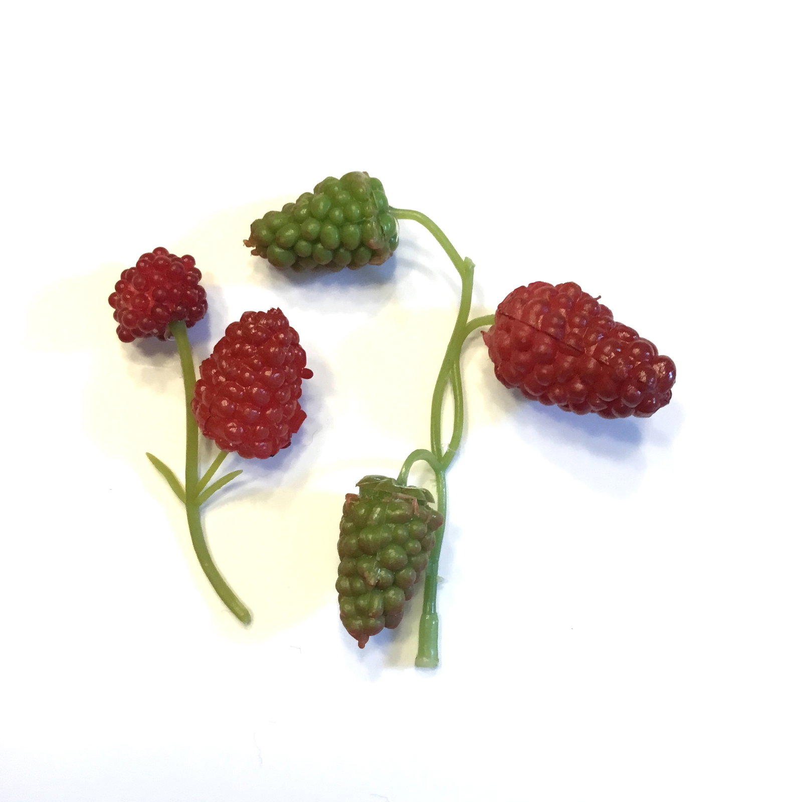 2 Små hindbær grene - Billede 3